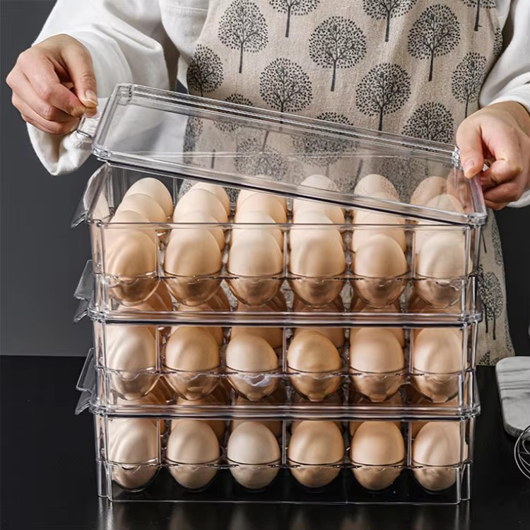 Wholesale Clear Plastic Egg Storage Container Egg Holder With Lid